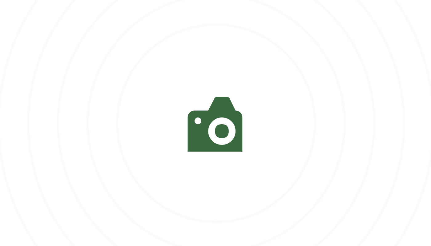 Comment choisir le meilleur lit pour le confort de votre animal ?